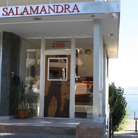 אל קלפטה Salamandra Apartamentos מראה חיצוני תמונה